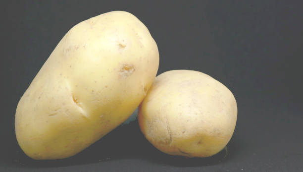 delicious aloo paratha